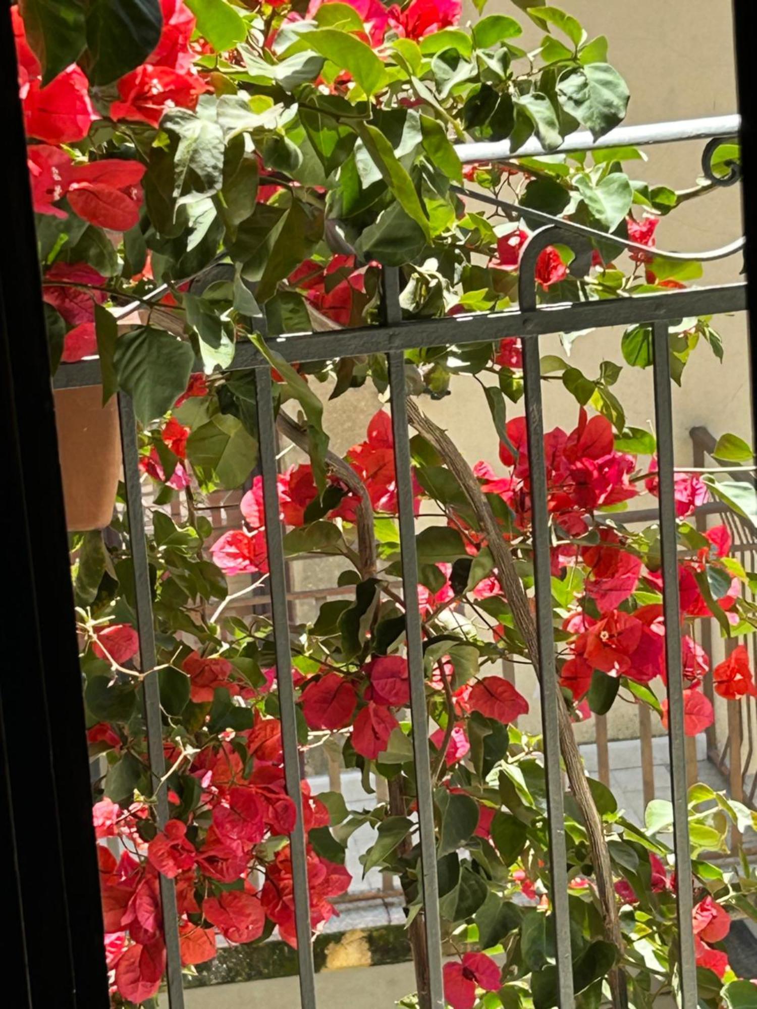 Mirabella Imbaccari B&B L'Angolo Sulla Piazza المظهر الخارجي الصورة
